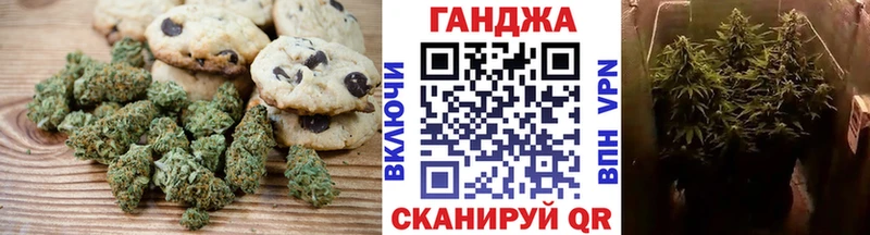 как найти наркотики  Сорочинск  гидра   Еда ТГК конопля 