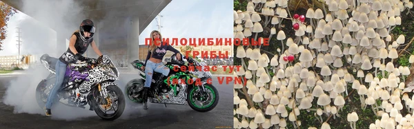 ГАЛЛЮЦИНОГЕННЫЕ ГРИБЫ Арсеньев